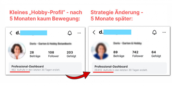 Profilvergleich1 Kopie